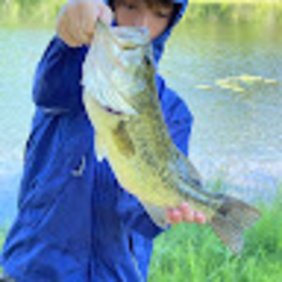 Meet your Posher, Benett - Picture 1 of 1